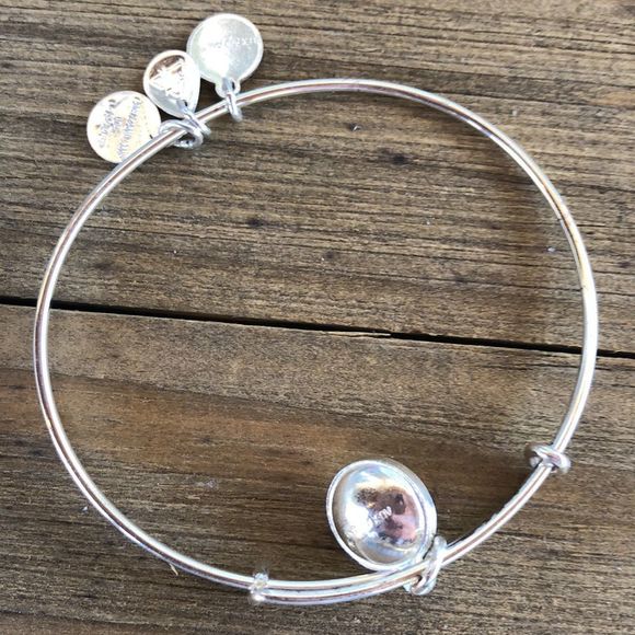 Alex and Ani Amethyst Birthstone Crystal Silver Adjustable Charm Bracelet! EUC - Picture 10 of 10